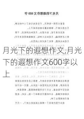 月光下的遐想作文,月光下的遐想作文600字以上