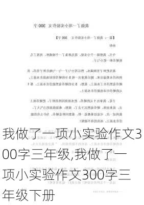 我做了一项小实验作文300字三年级,我做了一项小实验作文300字三年级下册