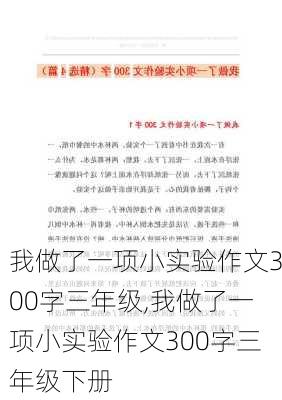 我做了一项小实验作文300字三年级,我做了一项小实验作文300字三年级下册