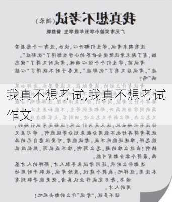 我真不想考试,我真不想考试作文