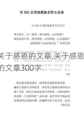 关于感恩的文章,关于感恩的文章300字