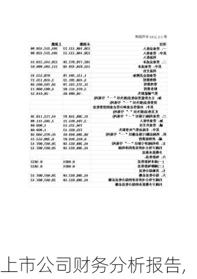 上市公司财务分析报告,