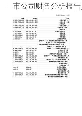 上市公司财务分析报告,