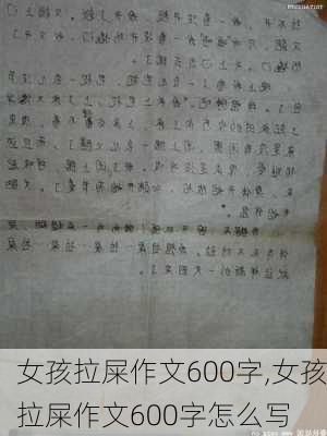 女孩拉屎作文600字,女孩拉屎作文600字怎么写