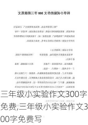 三年级小实验作文300字免费,三年级小实验作文300字免费写