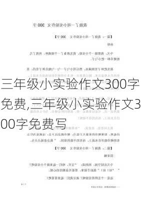 三年级小实验作文300字免费,三年级小实验作文300字免费写