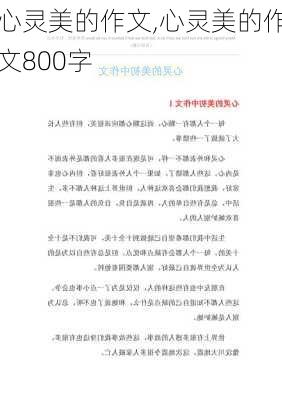 心灵美的作文,心灵美的作文800字