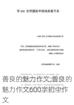 善良的魅力作文,善良的魅力作文600字初中作文