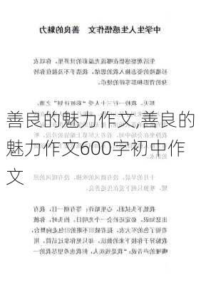 善良的魅力作文,善良的魅力作文600字初中作文