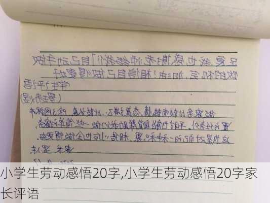 小学生劳动感悟20字,小学生劳动感悟20字家长评语