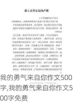 我的勇气来自你作文500字,我的勇气来自你作文500字免费