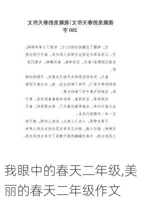 我眼中的春天二年级,美丽的春天二年级作文