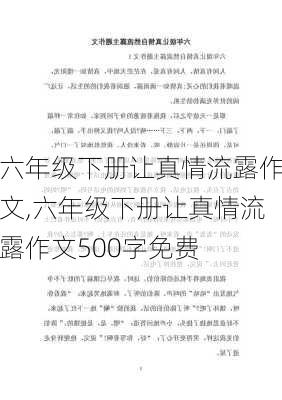 六年级下册让真情流露作文,六年级下册让真情流露作文500字免费