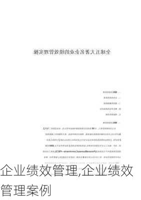 企业绩效管理,企业绩效管理案例