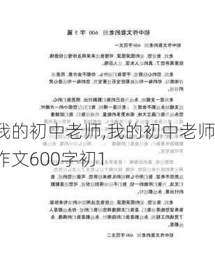 我的初中老师,我的初中老师作文600字初1