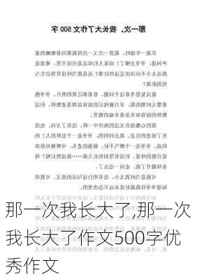 那一次我长大了,那一次我长大了作文500字优秀作文