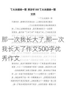 那一次我长大了,那一次我长大了作文500字优秀作文