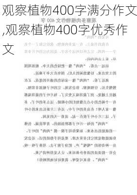 观察植物400字满分作文,观察植物400字优秀作文