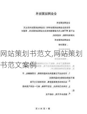 网站策划书范文,网站策划书范文案例