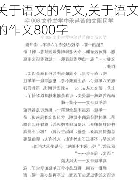 关于语文的作文,关于语文的作文800字