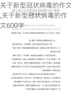 关于新型冠状病毒的作文,关于新型冠状病毒的作文600字