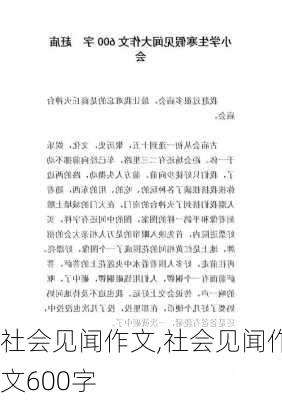 社会见闻作文,社会见闻作文600字