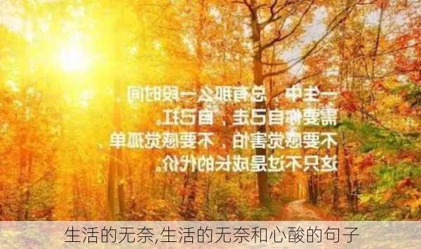 生活的无奈,生活的无奈和心酸的句子