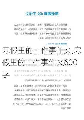 寒假里的一件事作文,寒假里的一件事作文600字