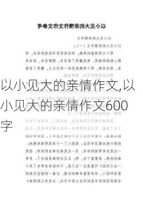 以小见大的亲情作文,以小见大的亲情作文600字