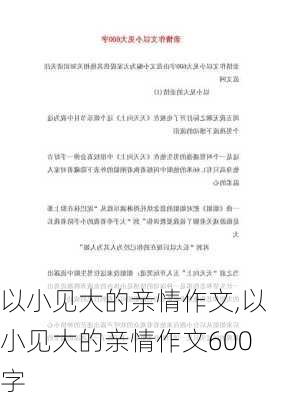 以小见大的亲情作文,以小见大的亲情作文600字