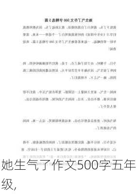 她生气了作文500字五年级,