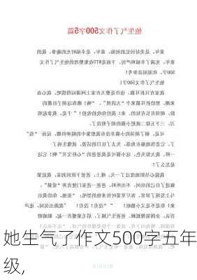 她生气了作文500字五年级,