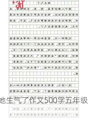 她生气了作文500字五年级,