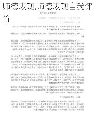 师德表现,师德表现自我评价