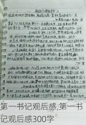 第一书记观后感,第一书记观后感300字