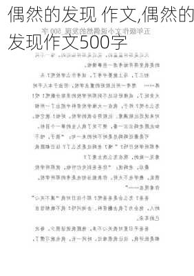 偶然的发现 作文,偶然的发现作文500字