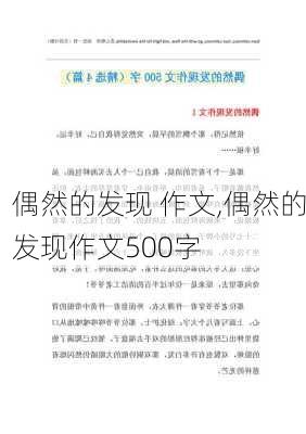 偶然的发现 作文,偶然的发现作文500字