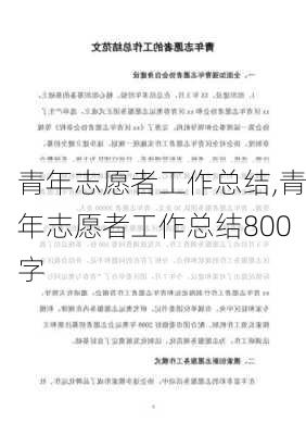 青年志愿者工作总结,青年志愿者工作总结800字