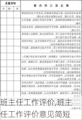 班主任工作评价,班主任工作评价意见简短