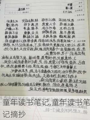 童年读书笔记,童年读书笔记摘抄