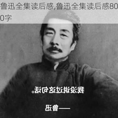 鲁迅全集读后感,鲁迅全集读后感800字