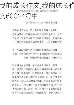 我的成长作文,我的成长作文600字初中