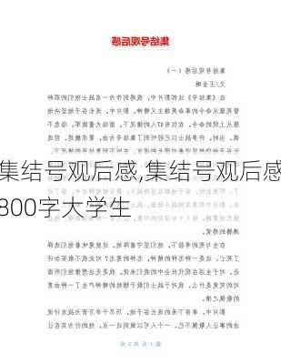 集结号观后感,集结号观后感800字大学生