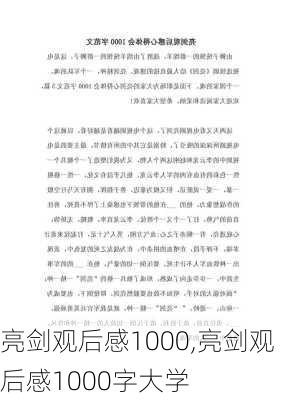 亮剑观后感1000,亮剑观后感1000字大学