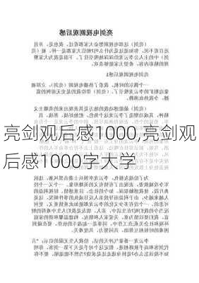 亮剑观后感1000,亮剑观后感1000字大学