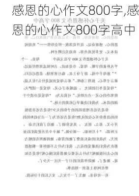 感恩的心作文800字,感恩的心作文800字高中