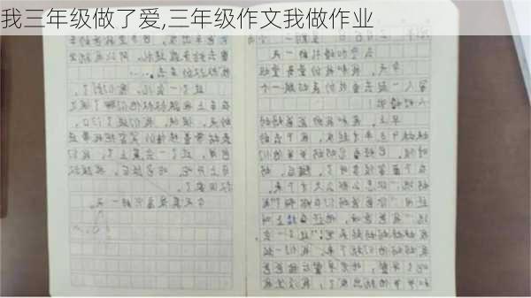 我三年级做了爱,三年级作文我做作业