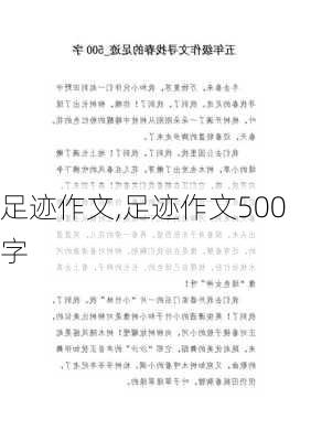 足迹作文,足迹作文500字