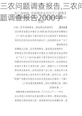 三农问题调查报告,三农问题调查报告2000字