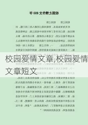 校园爱情文章,校园爱情文章短文